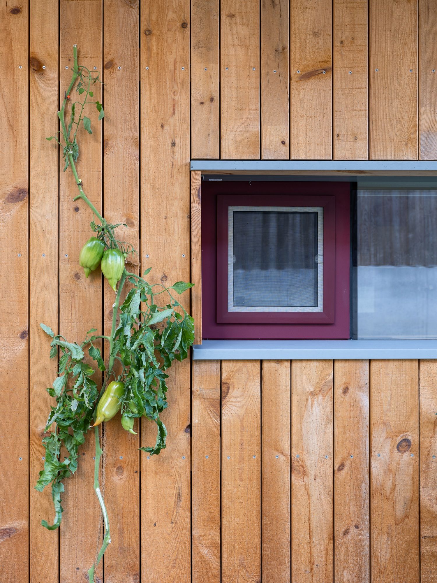 Wohnhaus T_N Reischach